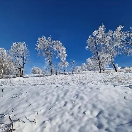 Apartmán čtyřlístek