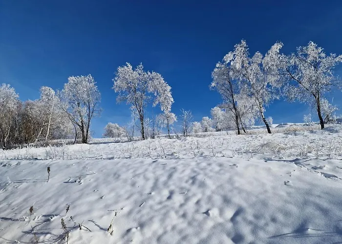 アパート Ctyrlistek