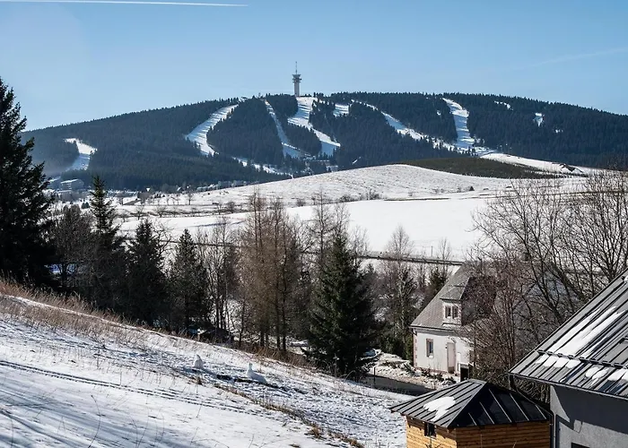 Ctyrlistek Apartament *